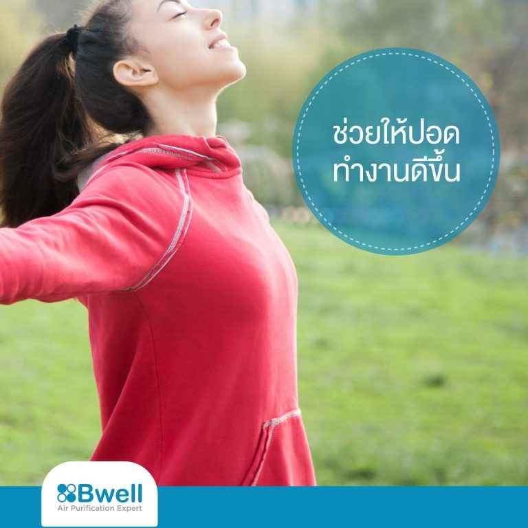เครื่องฟอกอากาศ