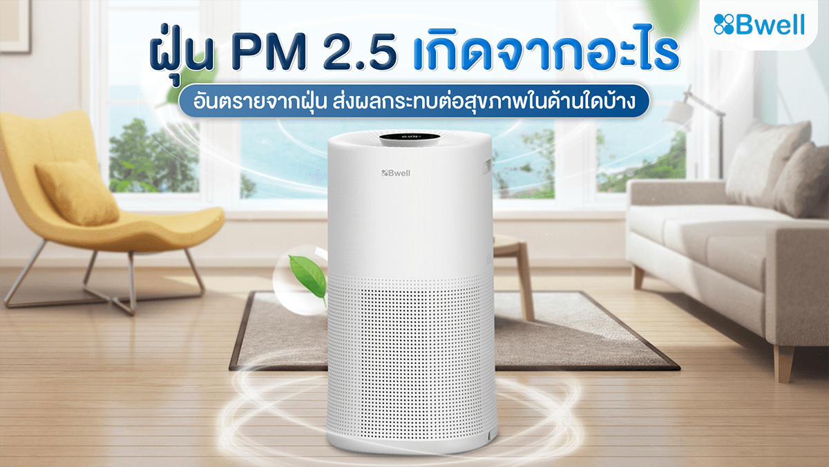 ฝุ่น pm 2.5 เกิดจากอะไร
