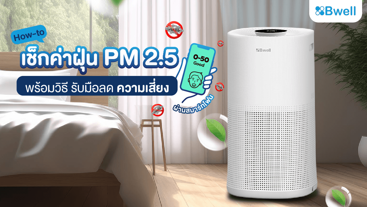 การป้องกันฝุ่น pm2.5