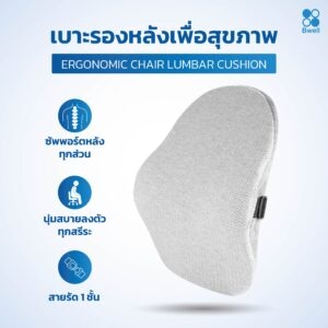 เบาะรองหลังเพื่อสุขภาพ-01