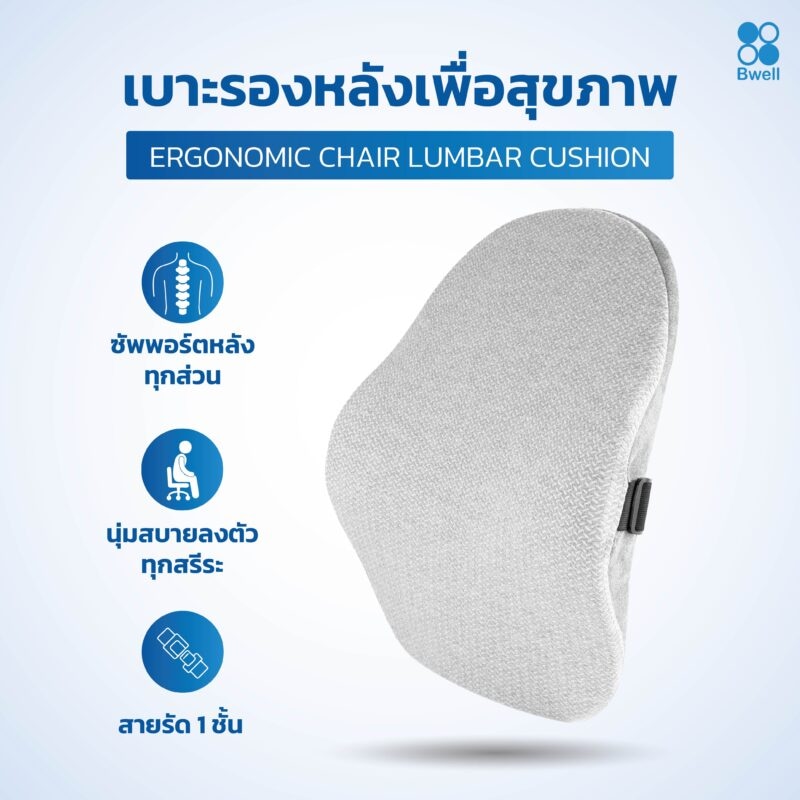 เบาะรองหลังเพื่อสุขภาพ-01