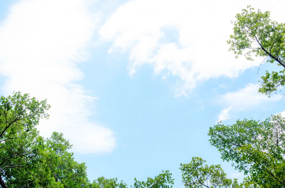 ทำไมต้อง อุปกรณ์จัดแต่งทรงผม Bwell