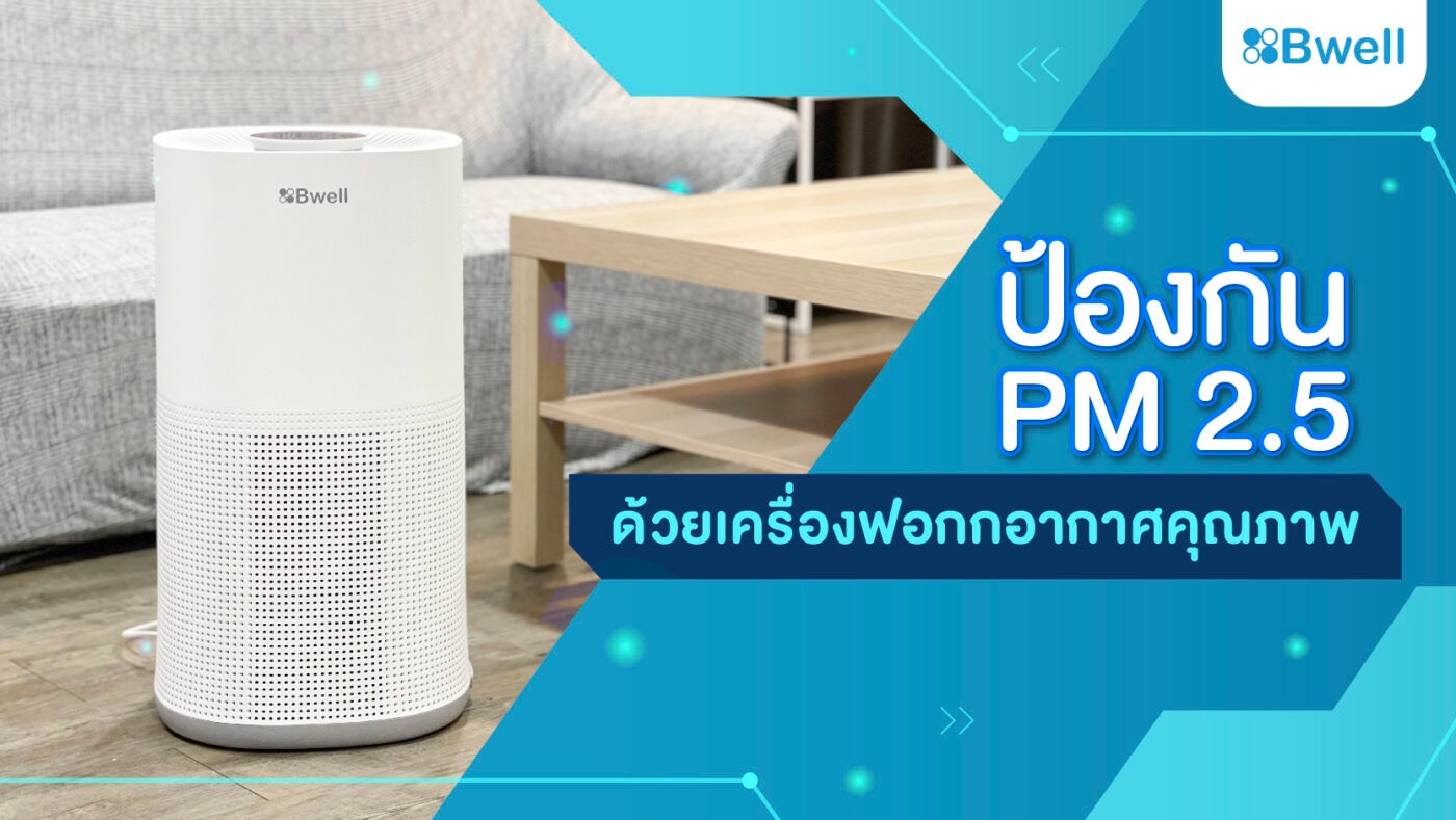เครื่องฟอกอากาศ PM2.5