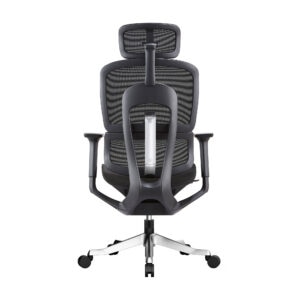 Bwell เก้าอี้ Ergonomic รุ่น Agnes สีดำ