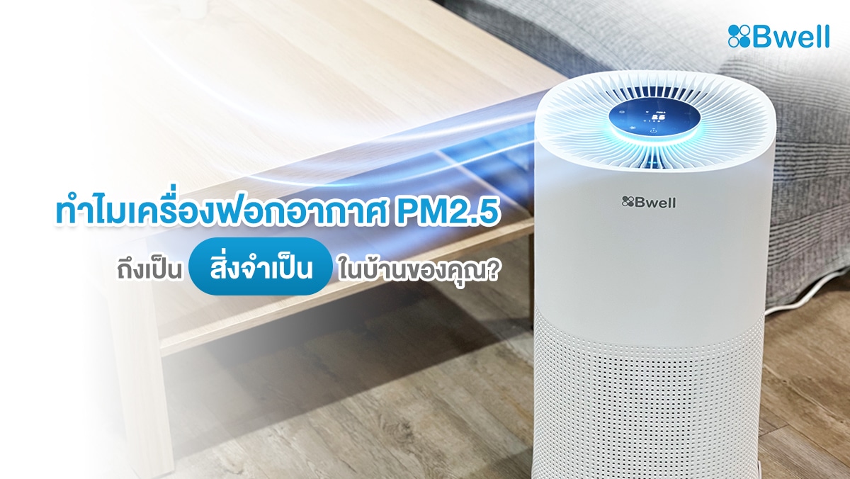 เครื่องฟอกอากาศ pm2.5