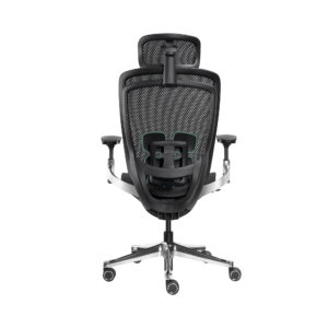 Bwell เก้าอี้ Ergonomic รุ่น Bjorn สีดำ